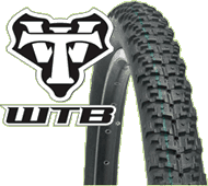 WTB Nano Raptor